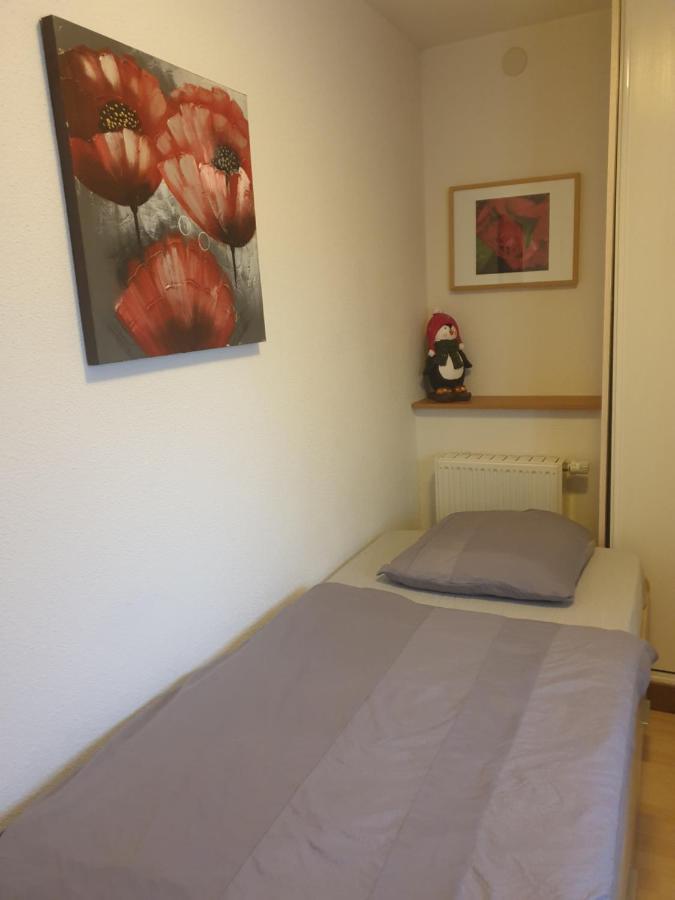 Appartement Proche D'Europa Park/Marches De Noel Rhinau Luaran gambar