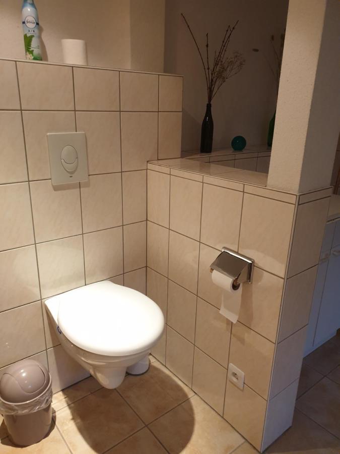 Appartement Proche D'Europa Park/Marches De Noel Rhinau Luaran gambar